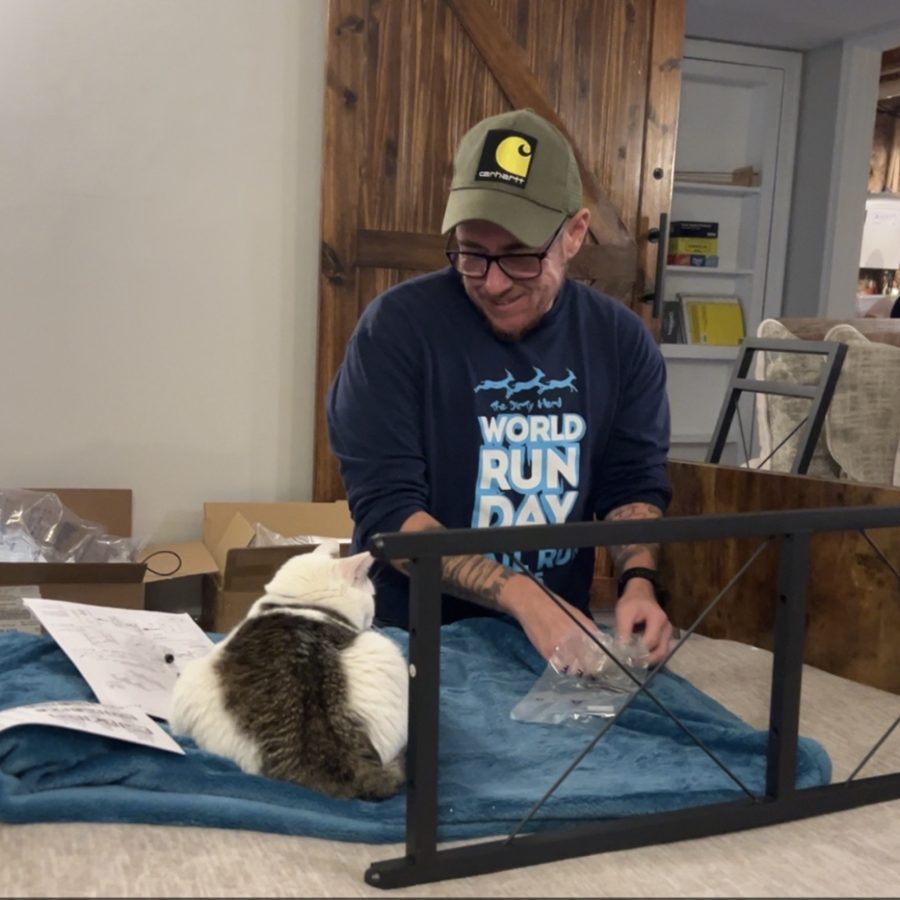 Assembling furniture with a cat supervising